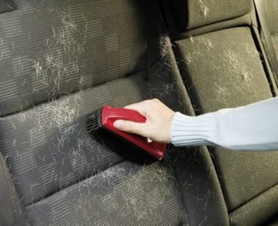 Szczotka do usuwania sierści we wnętrzu samochodu Sonax 1 szt (491400) 10